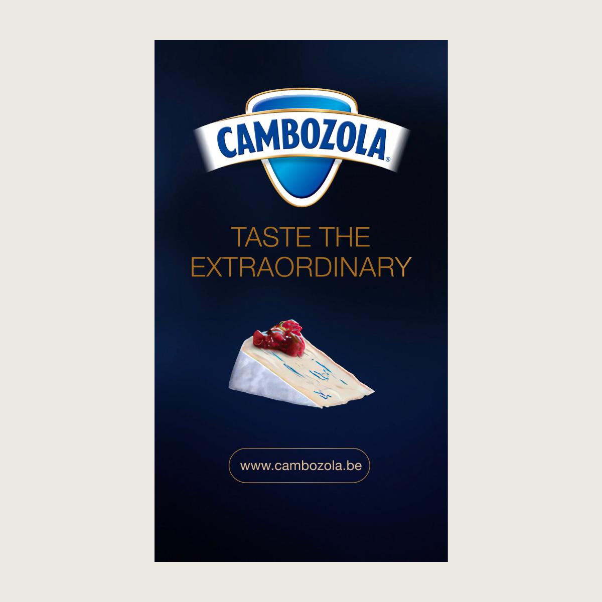 Cambozola case image