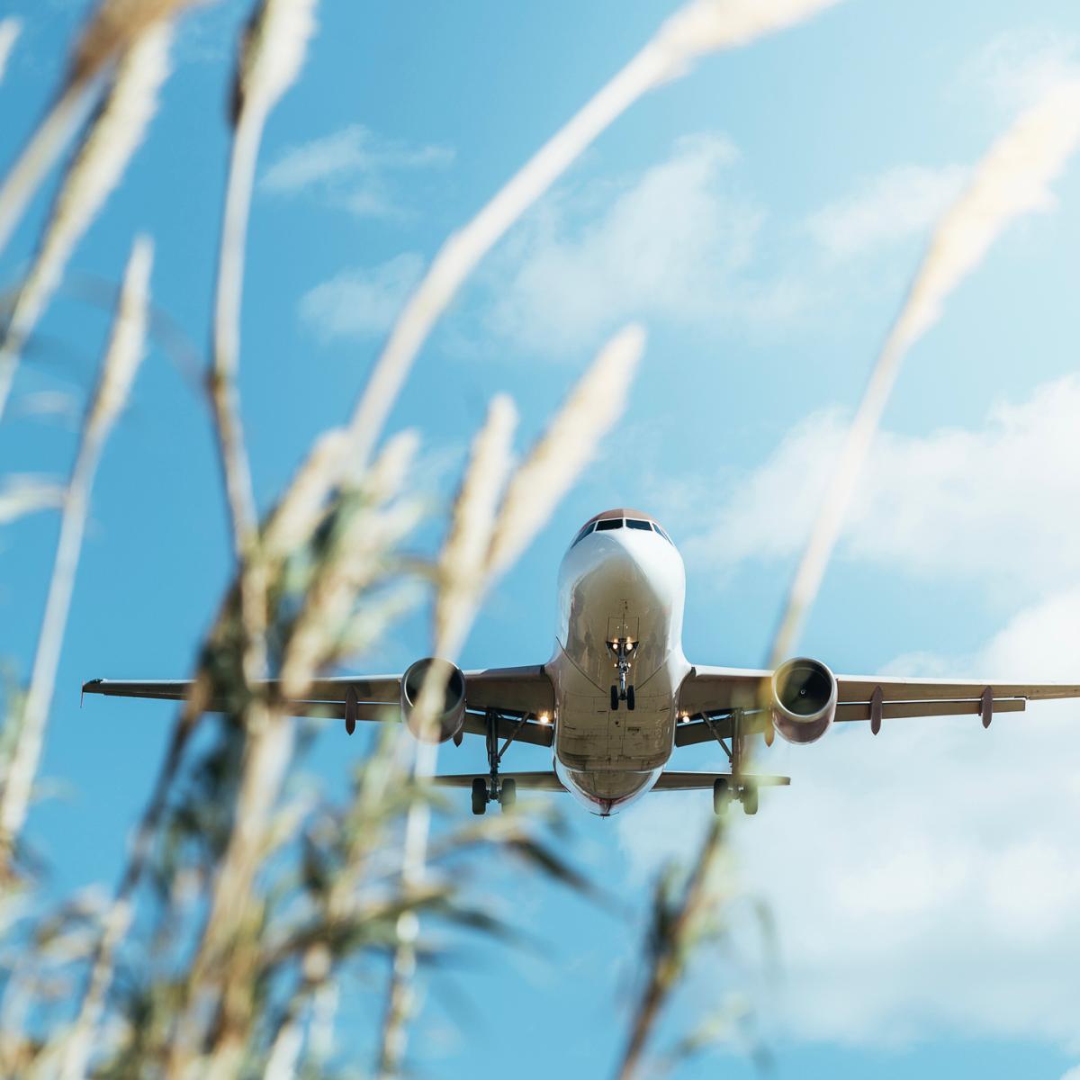 Picure of a plane flying