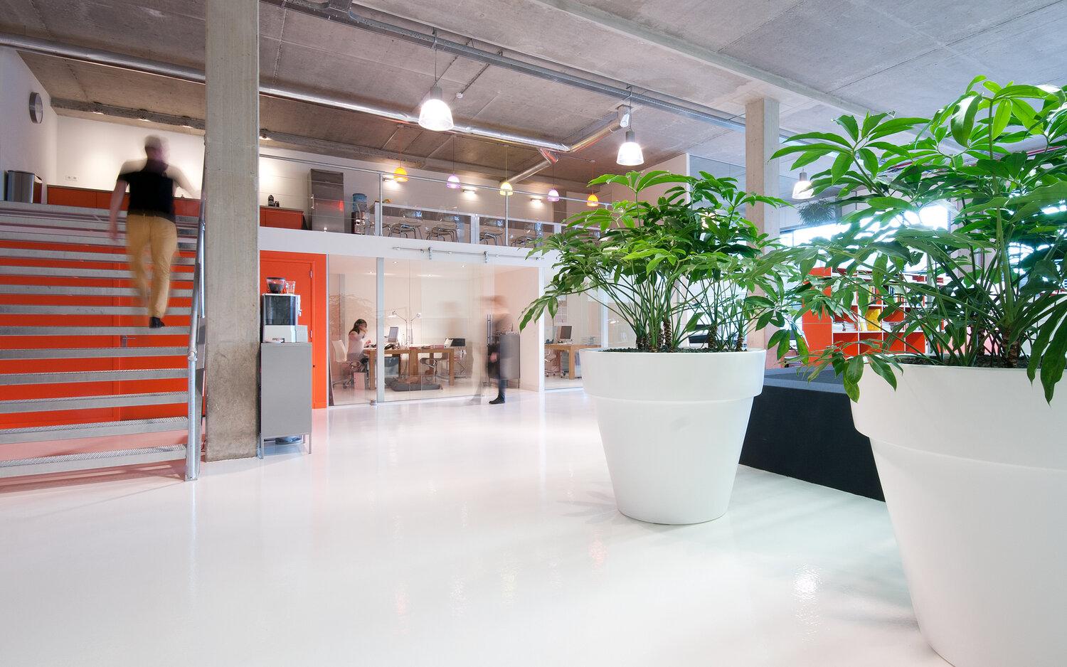 Office with plants