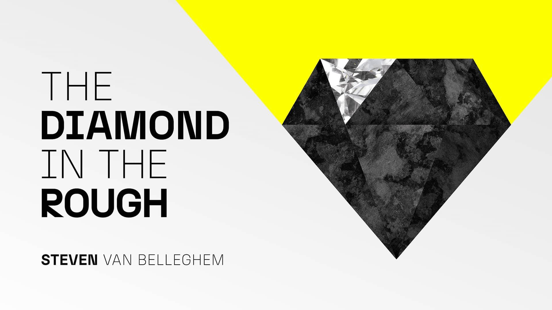 The diamonds in the rough steven van belleghem