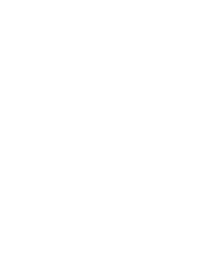 HAVEP Logo