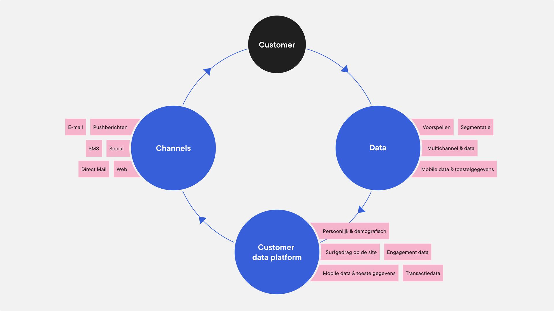 customer data platform