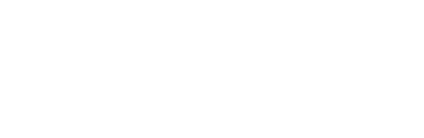 BNP logo