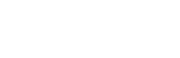 Toyota Motors