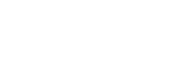 Debic