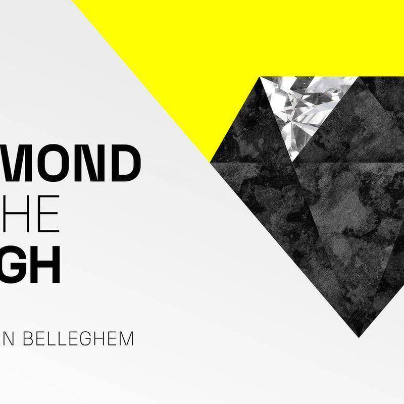 The diamonds in the rough steven van belleghem