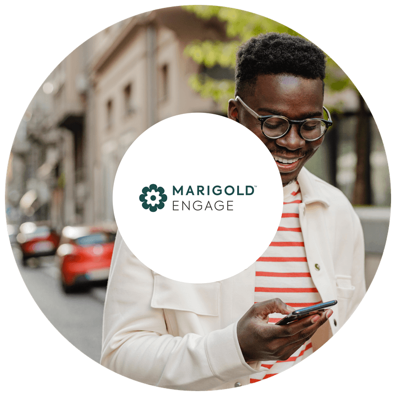 iO: a true expert in Marigold Engage (formerly Selligent Marketing Cloud) | iO