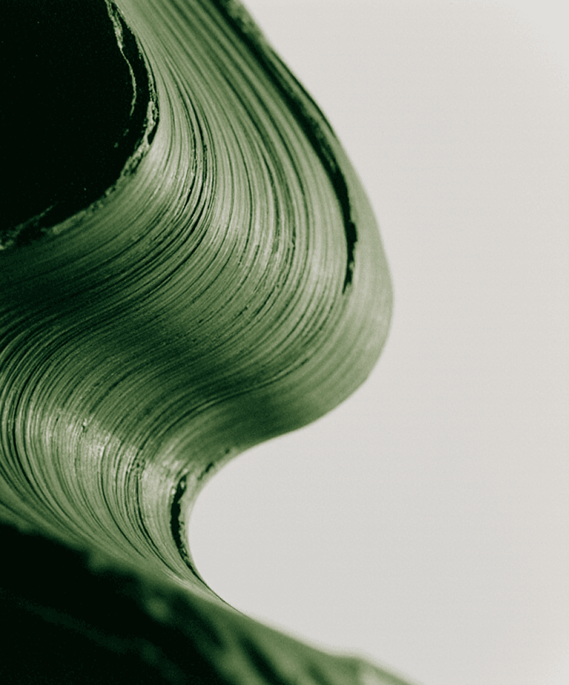Close-up of a textured, curving green brushstroke against a light background, resembling a wave or abstract form.